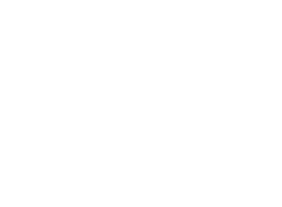 sinoscar